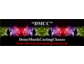 DMCC – deine MusikCastingChance